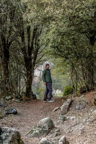 Caminant pel bosc a Enclar