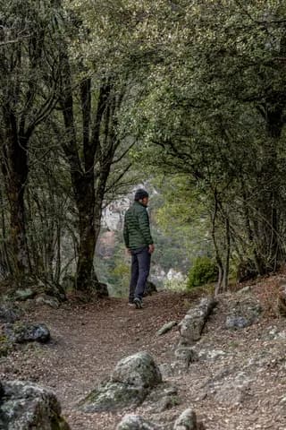 Sender al bosc amb caminant